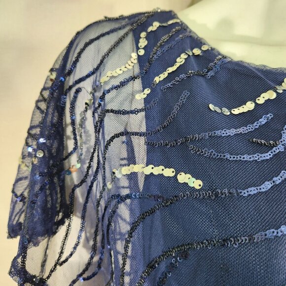 Alex Evenings Women's Sequined Short Sleeve Scoop Neck Blue Top Blouse Size S 12 - Picture 5 of 12